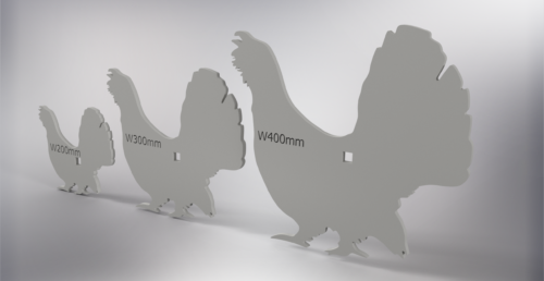 Capercaillie - Image 2